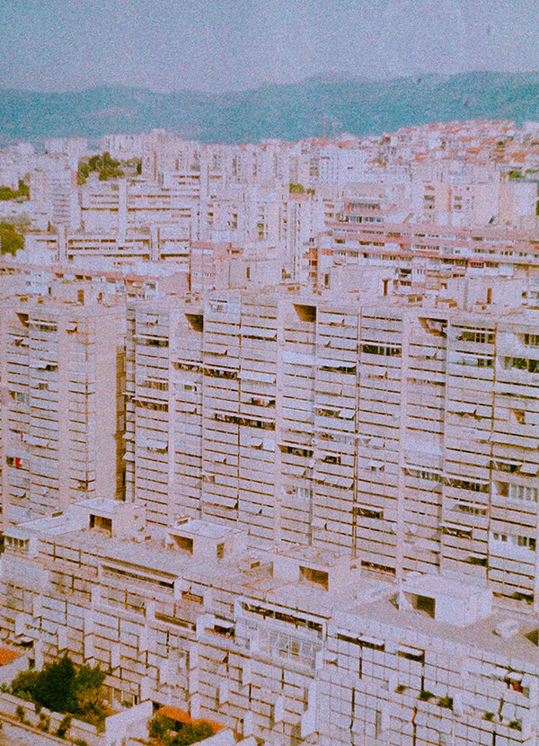 Renata Lučić Photography